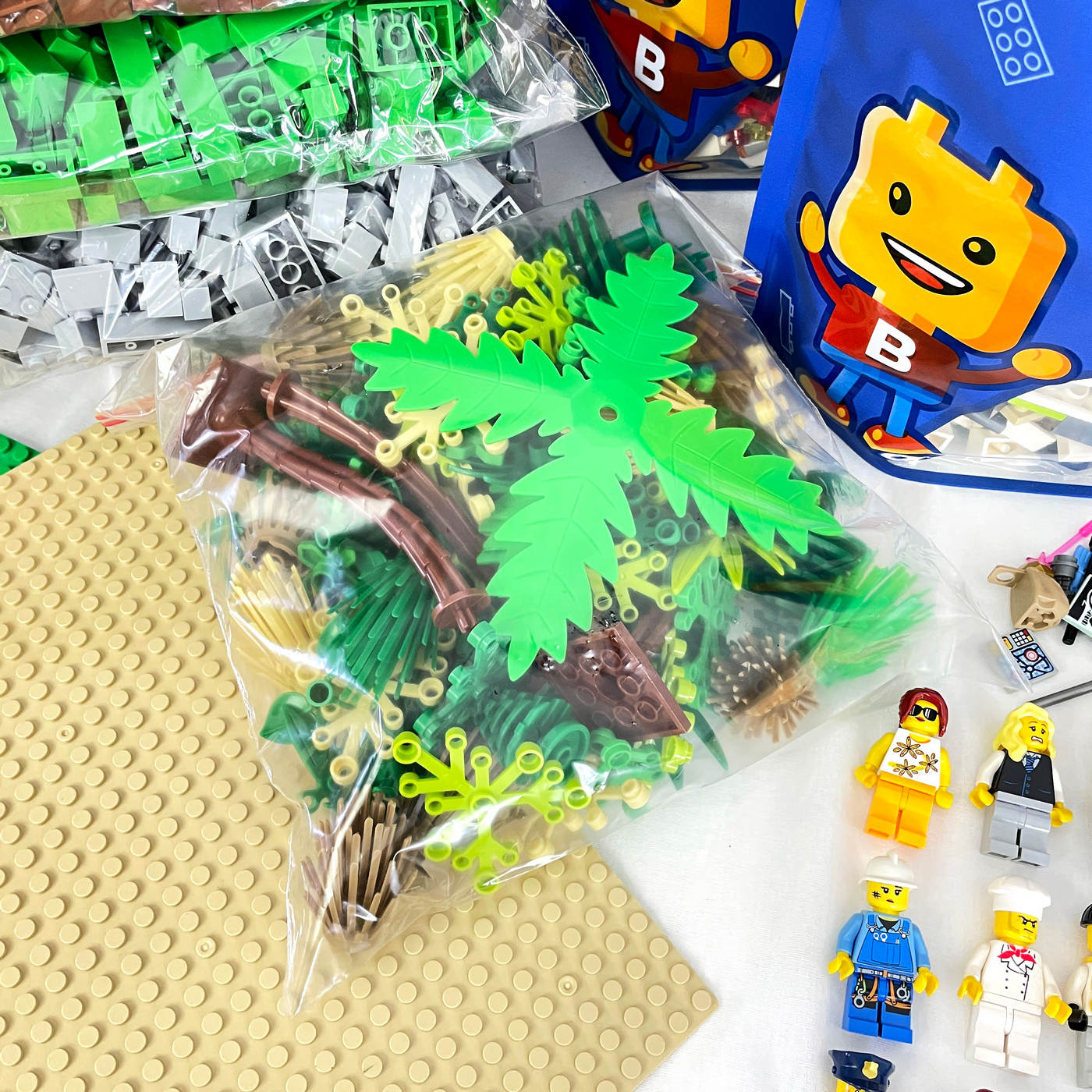 Essentials Pack - Pre-Loved LEGO® & Bricks (12KGS) - Medium (10-15 persons)